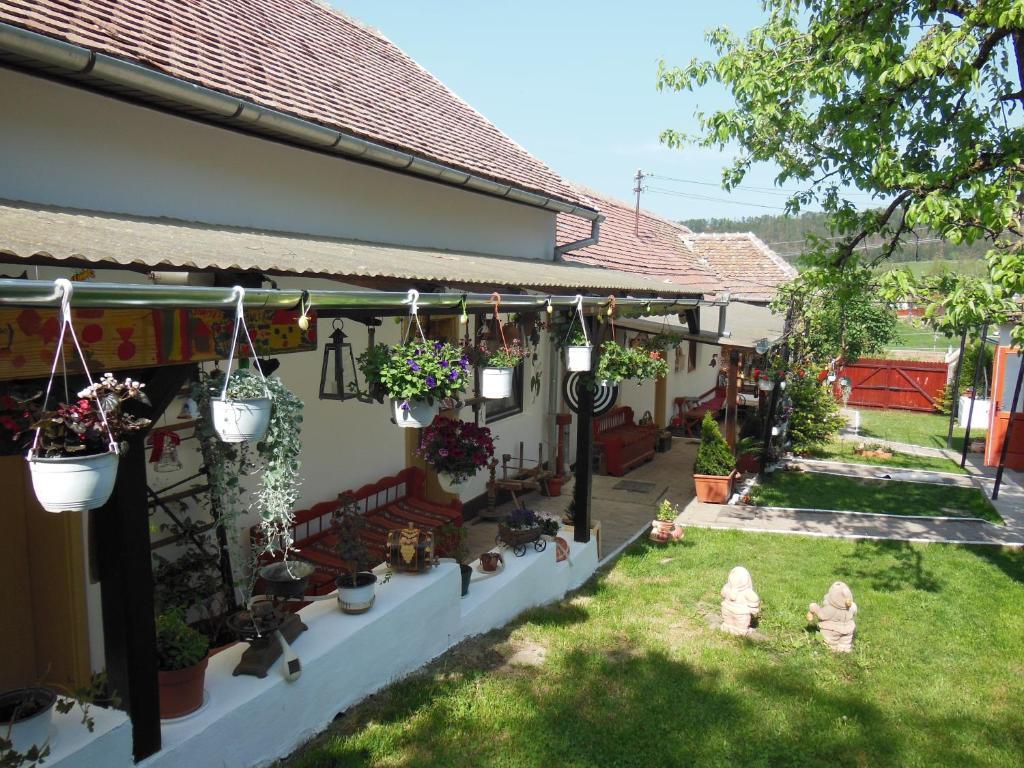 Pension Bassen Bazna Zewnętrze zdjęcie