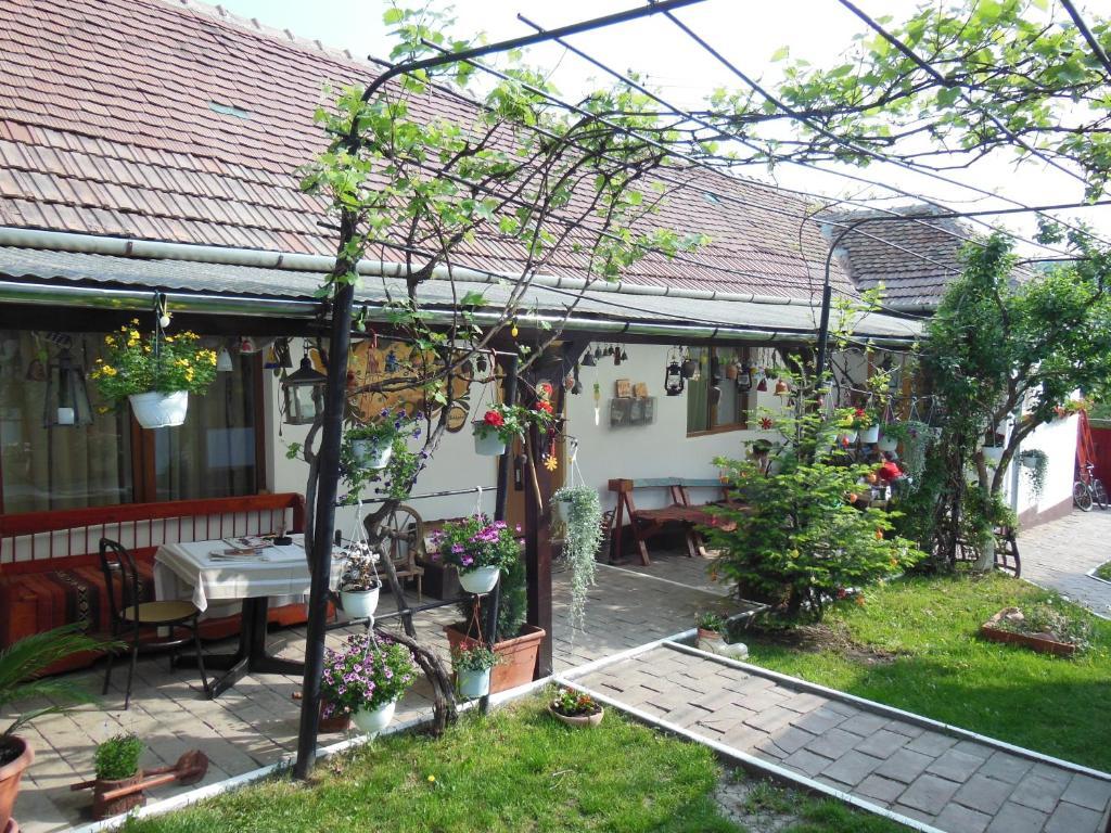 Pension Bassen Bazna Zewnętrze zdjęcie