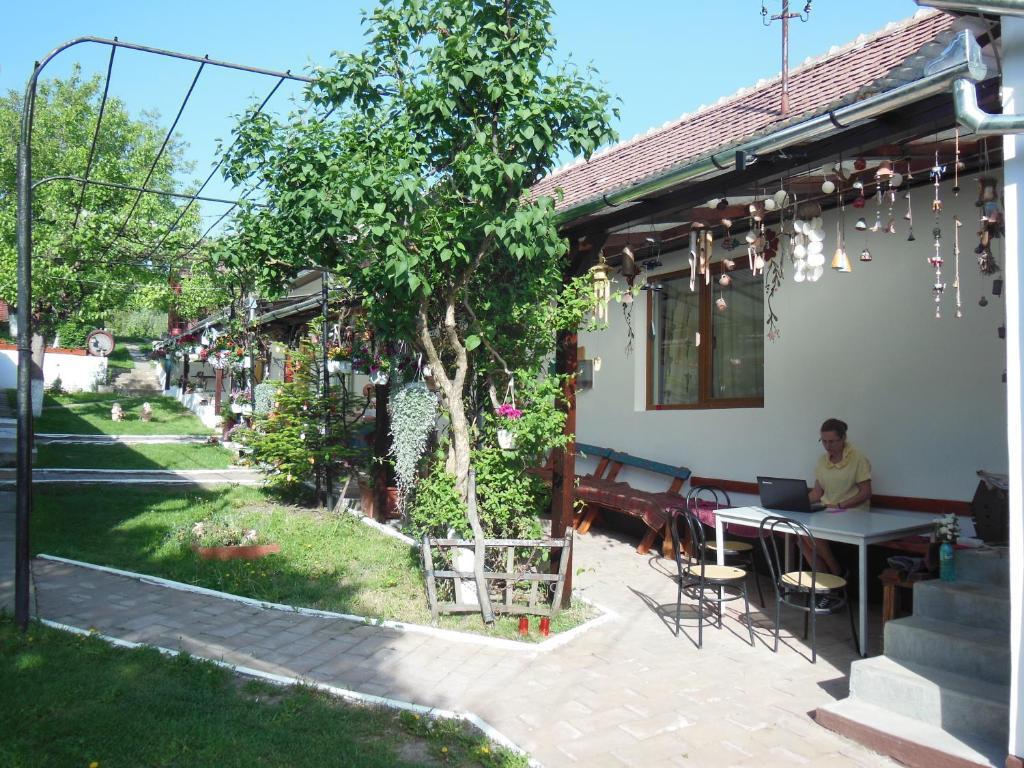 Pension Bassen Bazna Zewnętrze zdjęcie