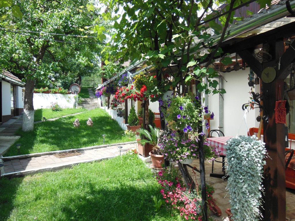 Pension Bassen Bazna Zewnętrze zdjęcie