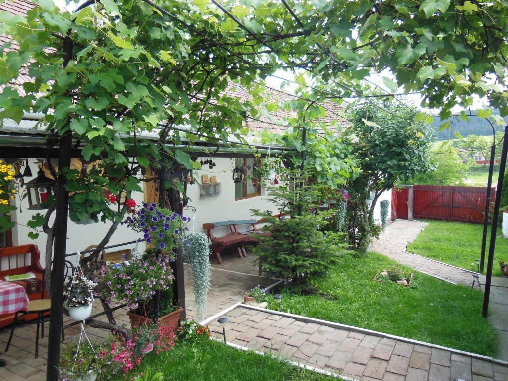 Pension Bassen Bazna Zewnętrze zdjęcie