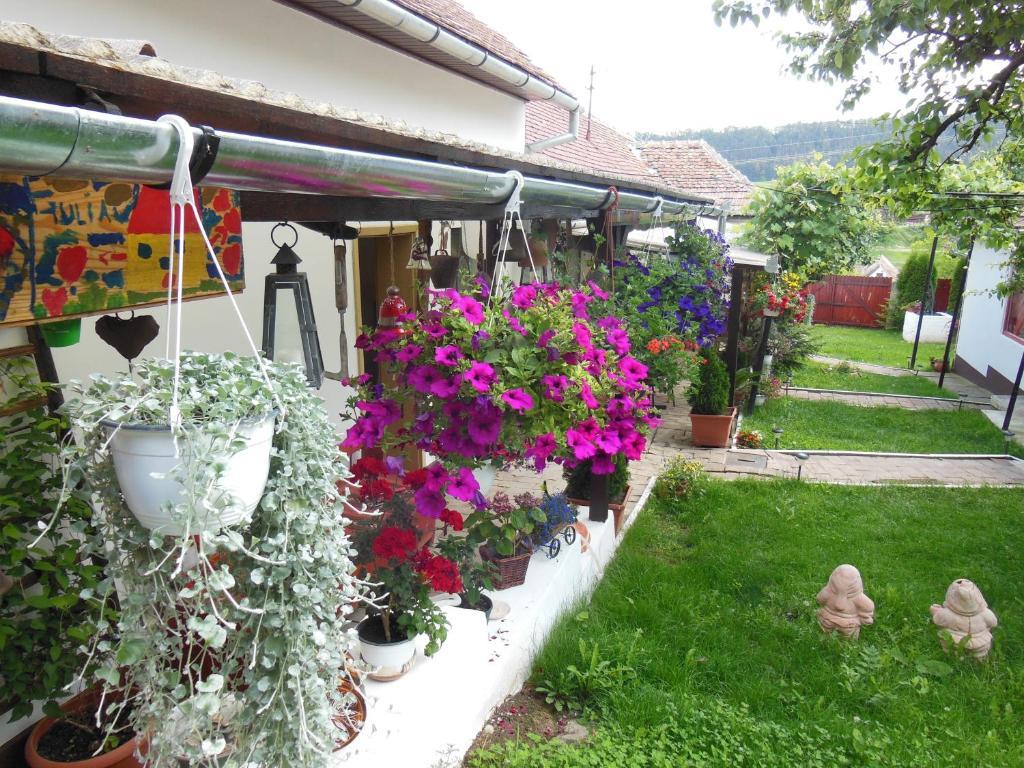 Pension Bassen Bazna Zewnętrze zdjęcie